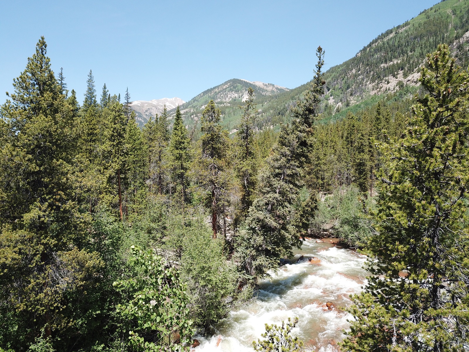 Vacant Land for Sale in Buena Vista, Chaffee County, Park County, and